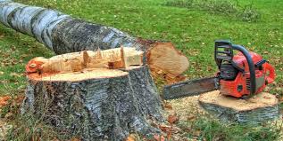 Best Firewood Processing and Delivery  in Killen, AL