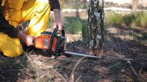 Best Lawn Irrigation Installation and Maintenance  in Killen, AL