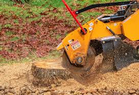 Best Seasonal Cleanup (Spring/Fall)  in Killen, AL