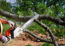 Best Emergency Tree Removal  in Killen, AL